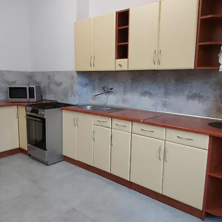 Gasthuis Goscinne Viking *